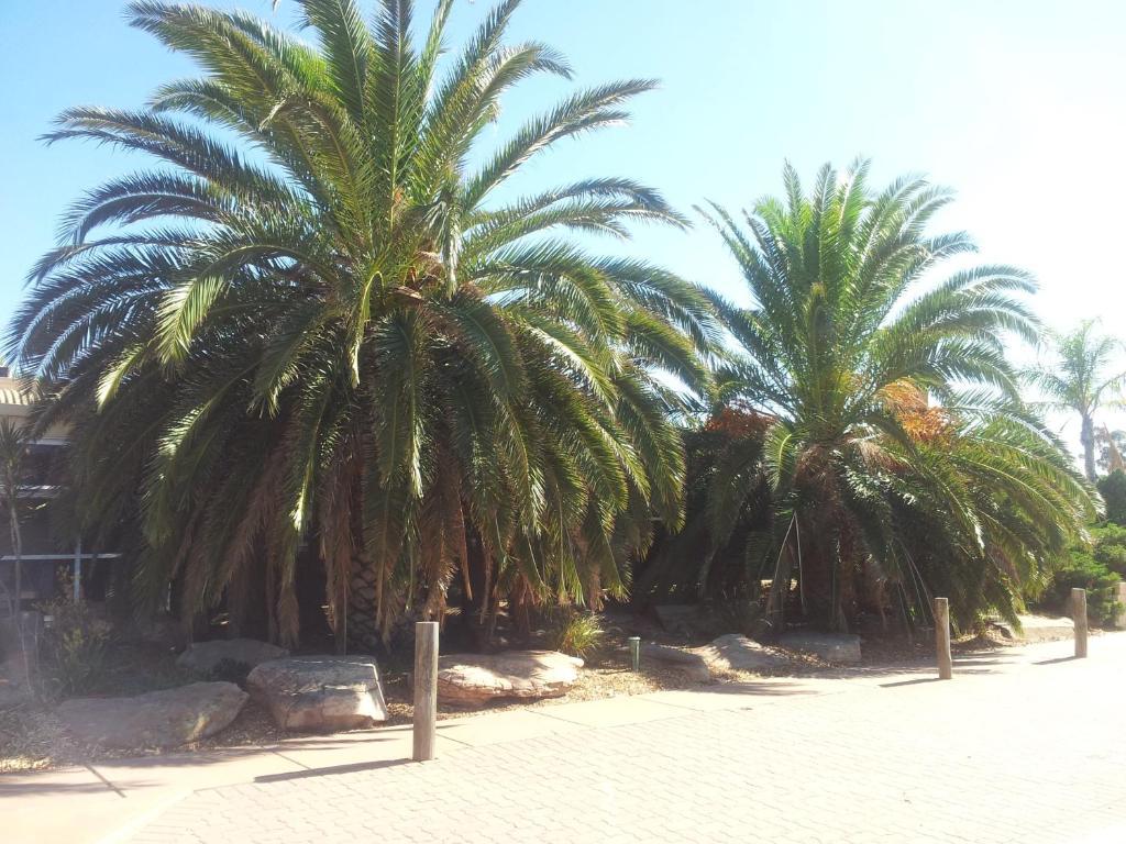 Acacia Ridge Motor Inn Port Augusta Ngoại thất bức ảnh