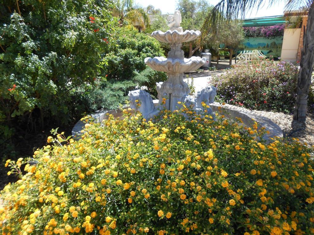 Acacia Ridge Motor Inn Port Augusta Ngoại thất bức ảnh